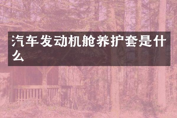 汽车发动机舱养护套是什么