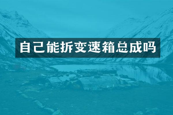 自己能拆变速箱总成吗