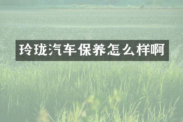 玲珑汽车保养怎么样啊