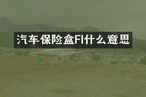 汽车保险盒FI什么意思