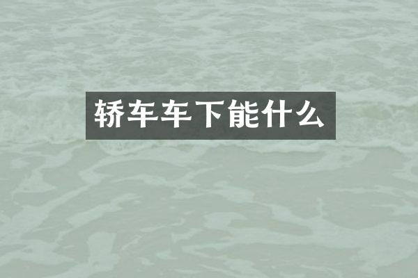 轿车车下能什么