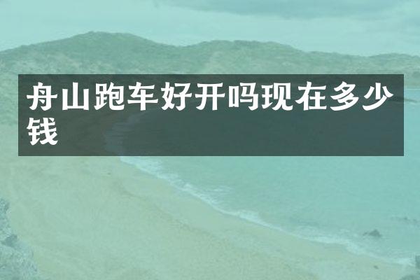 舟山跑车好开吗现在多少钱