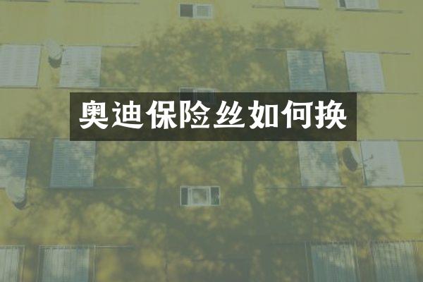 奥迪保险丝如何换
