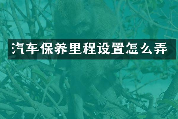 汽车保养里程设置怎么弄