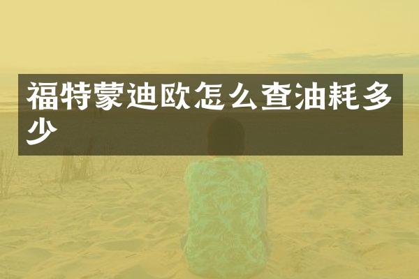 福特蒙迪欧怎么查油耗多少