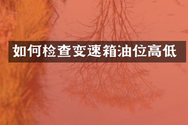 如何检查变速箱油位高低
