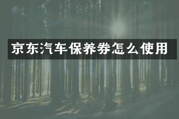 京东汽车保养券怎么使用