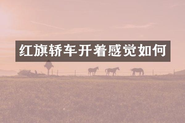 红旗轿车开着感觉如何