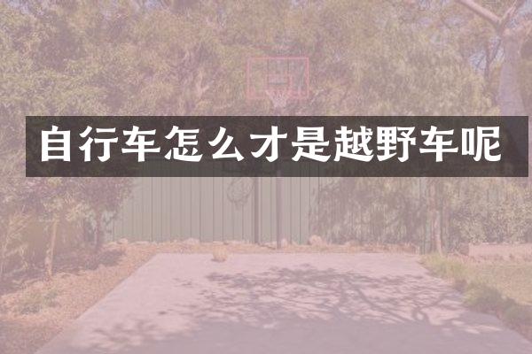 自行车怎么才是越野车呢