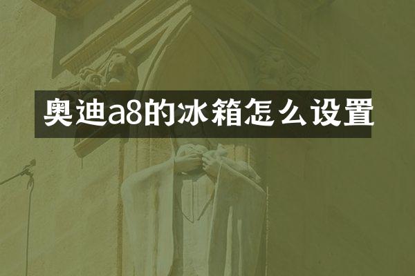 奥迪a8的冰箱怎么设置