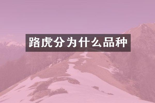 路虎分为什么品种