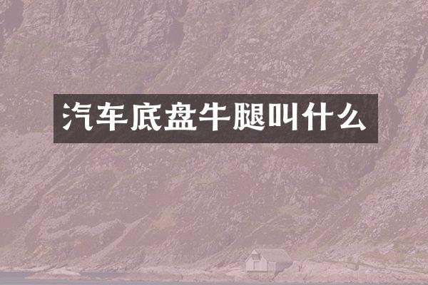 汽车底盘牛腿叫什么