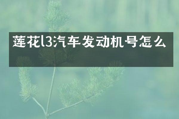 莲花l3汽车发动机号怎么看