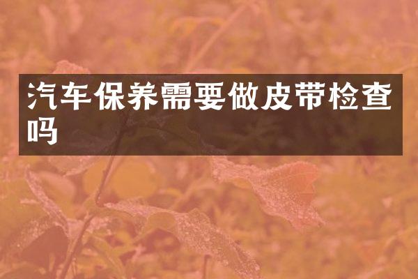 汽车保养需要做皮带检查吗
