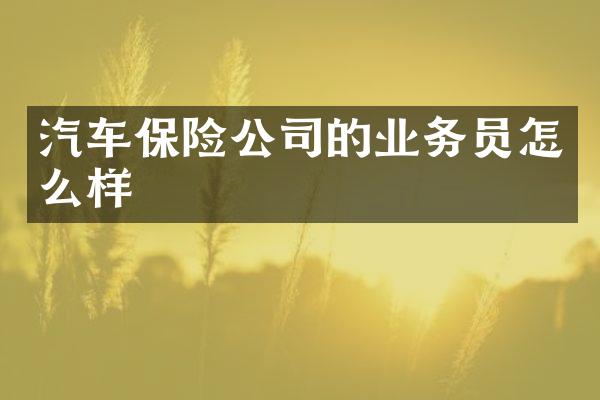 汽车保险公司的业务员怎么样