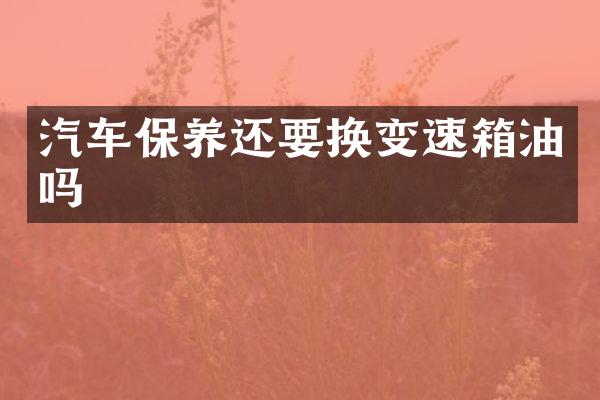 汽车保养还要换变速箱油吗