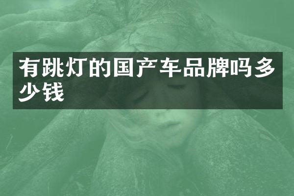 有跳灯的国产车品牌吗多少钱