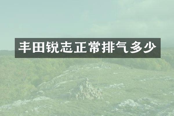 丰田锐志正常排气多少