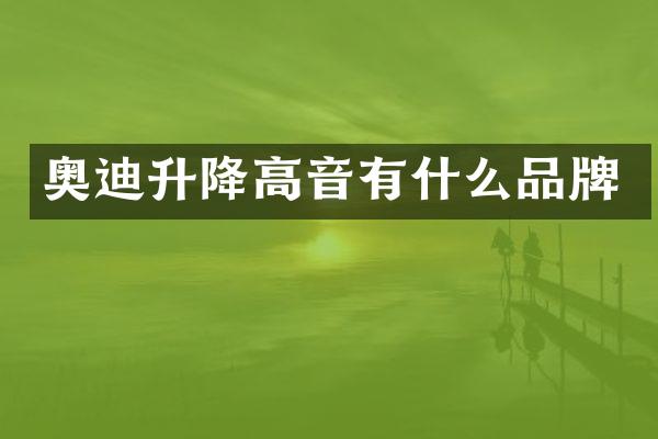 奥迪升降高音有什么品牌