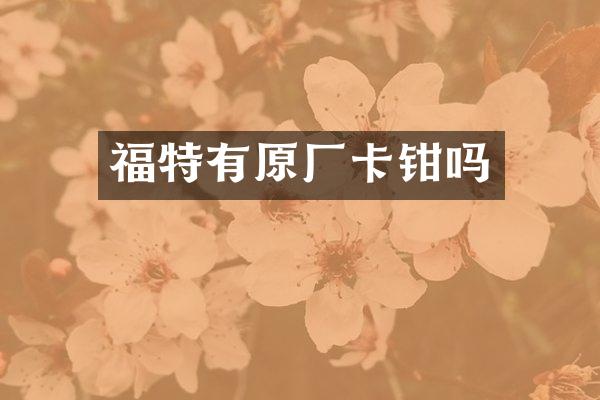 福特有原厂卡钳吗