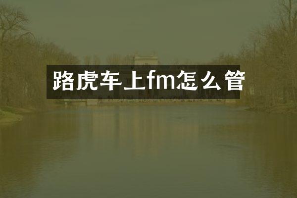 路虎车上fm怎么管