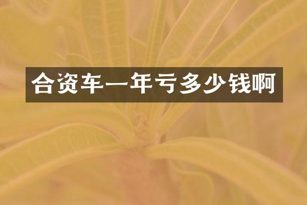 合资车一年亏多少钱啊