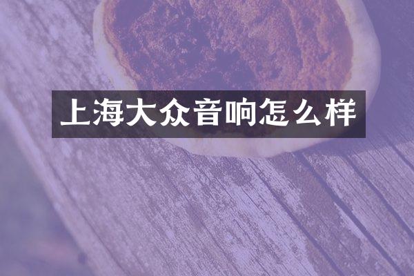 上海大众音响怎么样