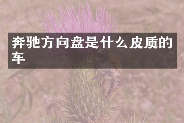 奔驰方向盘是什么皮质的车