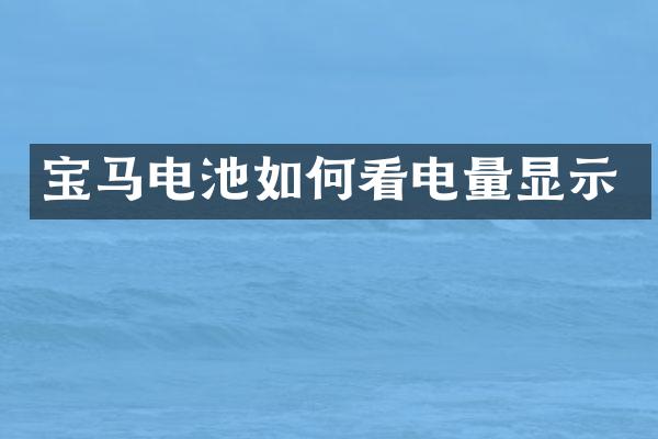 宝马电池如何看电量显示