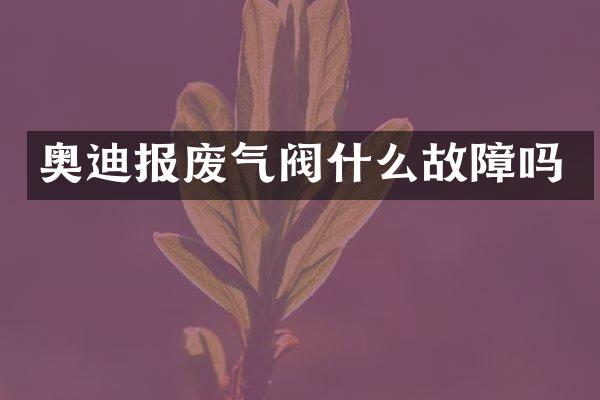 奥迪报废气阀什么故障吗