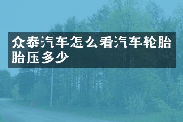 众泰汽车怎么看汽车轮胎胎压多少