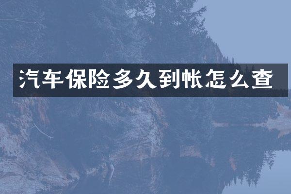 汽车保险多久到帐怎么查