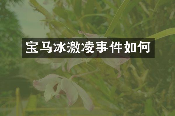 宝马冰激凌事件如何