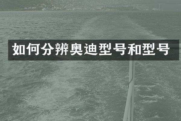 如何分辨奥迪型号和型号