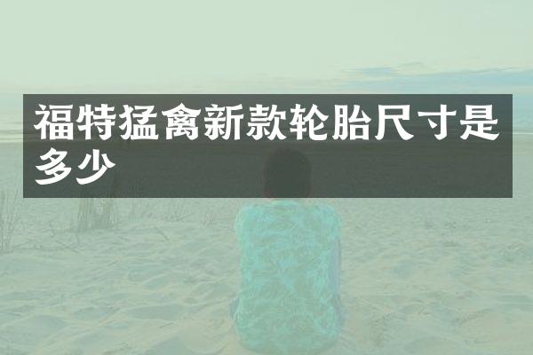福特猛禽新款轮胎尺寸是多少