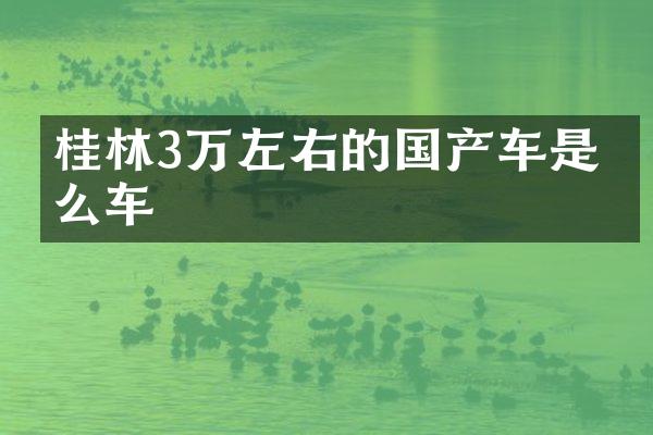 桂林3万左右的国产车是什么车