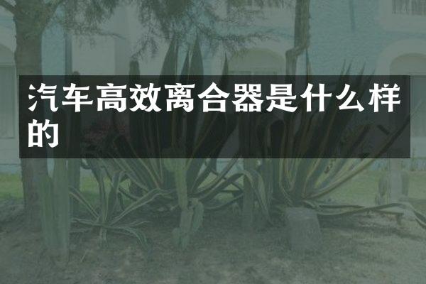 汽车高效离合器是什么样的