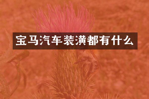 宝马汽车装潢都有什么