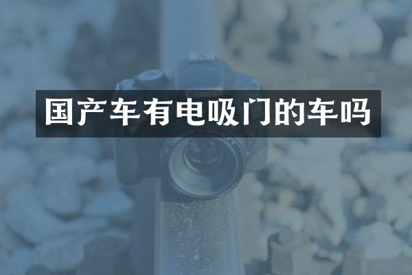 国产车有电吸门的车吗
