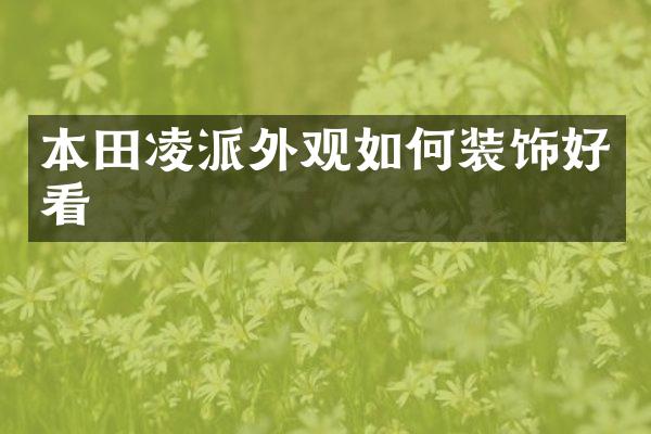 本田凌派外观如何装饰好看