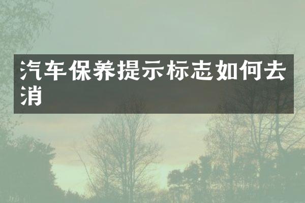 汽车保养提示标志如何去消