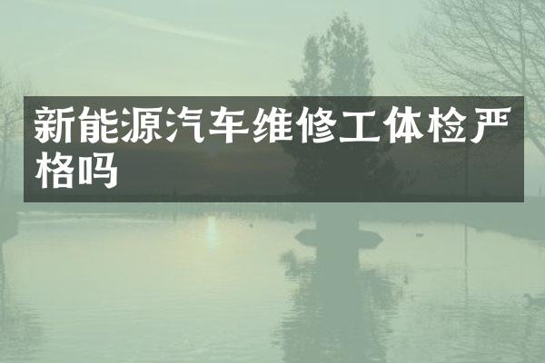新能源汽车维修工体检严格吗
