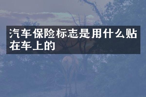 汽车保险标志是用什么贴在车上的