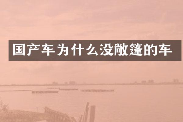 国产车为什么没敞篷的车