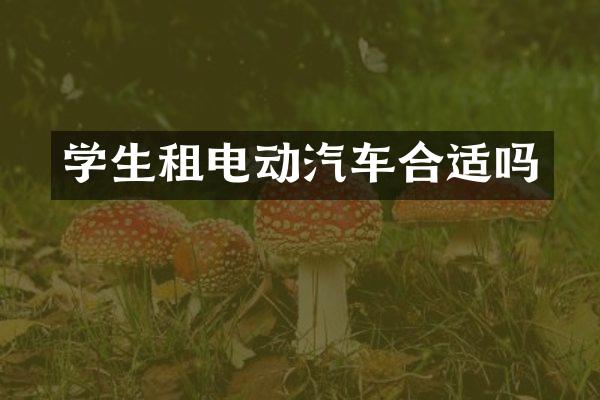 学生租电动汽车合适吗