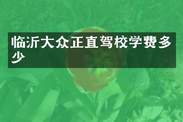 临沂大众正直驾校学费多少