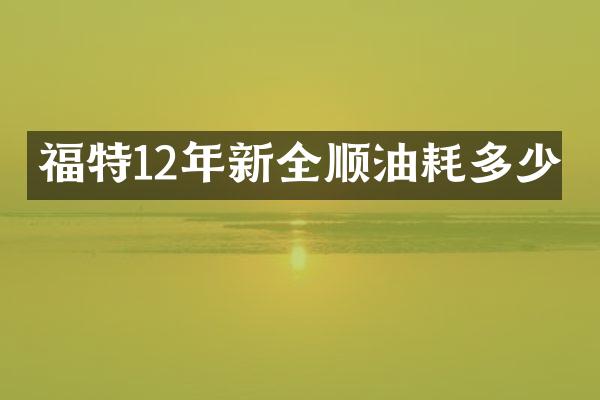 福特12年新全顺油耗多少
