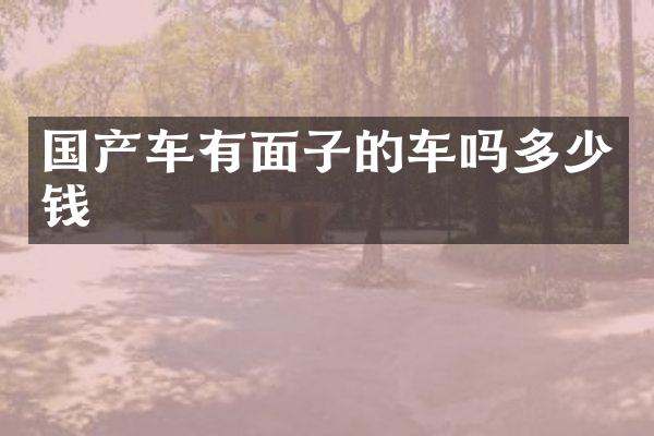 国产车有面子的车吗多少钱