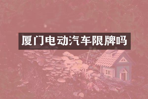 厦门电动汽车限牌吗
