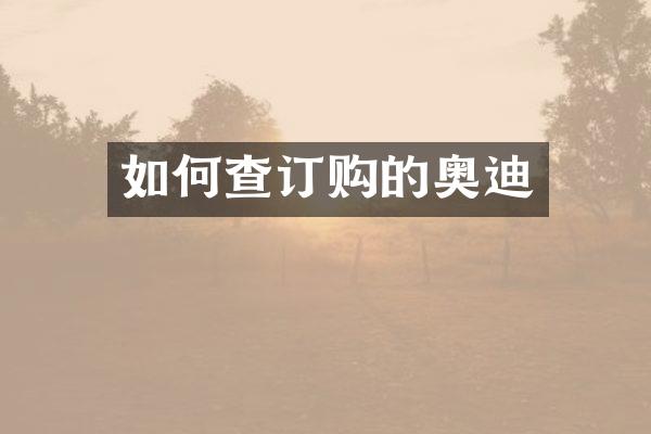 如何查订购的奥迪